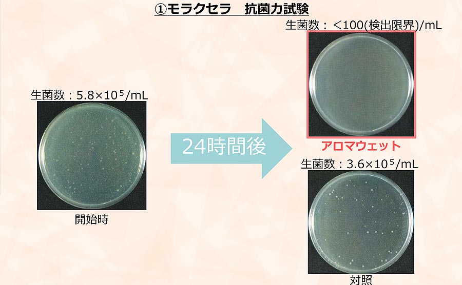 香氛湿润植物/多效合一型