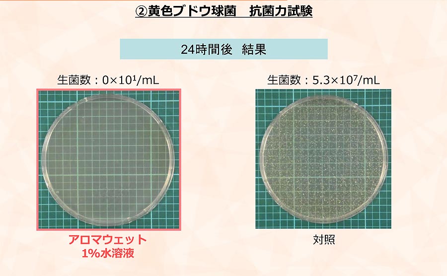 香氛湿润植物/多效合一型