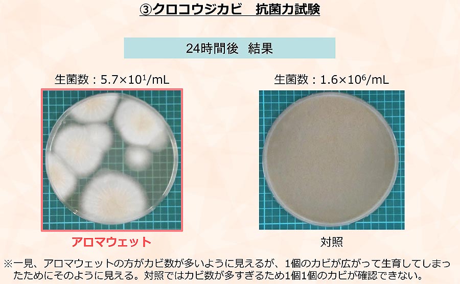 香氛湿润植物/多效合一型