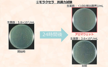 香氛湿润植物/多效合一型