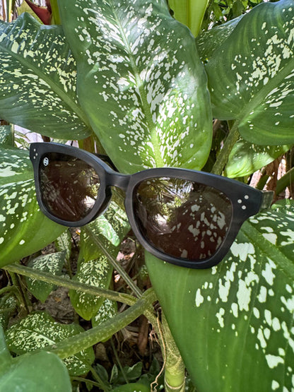 [LOW TIDE] Matte Gray Havana / Deep Green