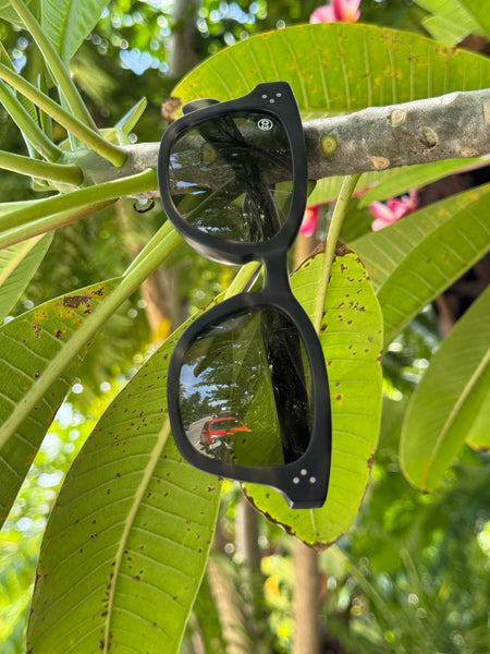[LOW TIDE] Matte Gray Havana / Deep Green