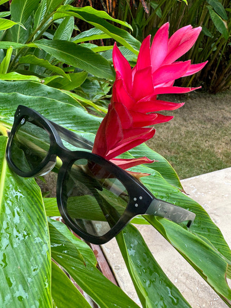 [LOW TIDE] Matte Gray Havana / Deep Green
