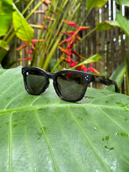 [LOW TIDE] Matte Gray Havana / Deep Green