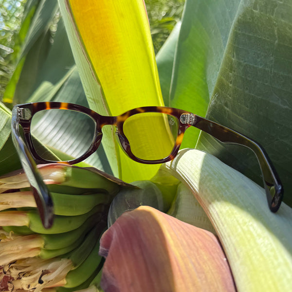 [LOW TIDE] Photochromic Lenses Demi / Bounce Gray