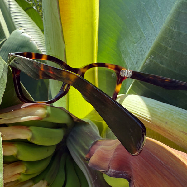 [LOW TIDE] Photochromic Lenses Demi / Bounce Gray