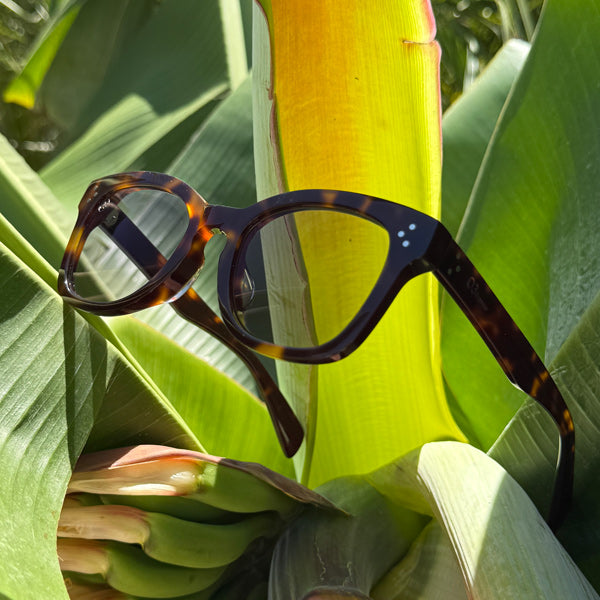 [LOW TIDE] Photochromic Lenses Demi / Bounce Gray