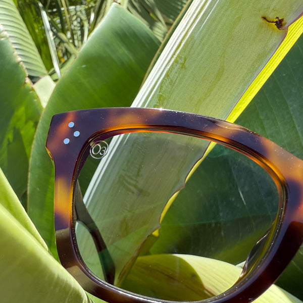 [LOW TIDE] Photochromic Lenses Demi / Bounce Gray