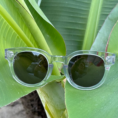 [TIDE POOL] / Clear-Steel Gray