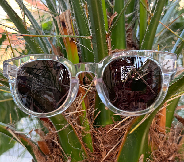 [TIDE POOL] / Clear-Steel Gray